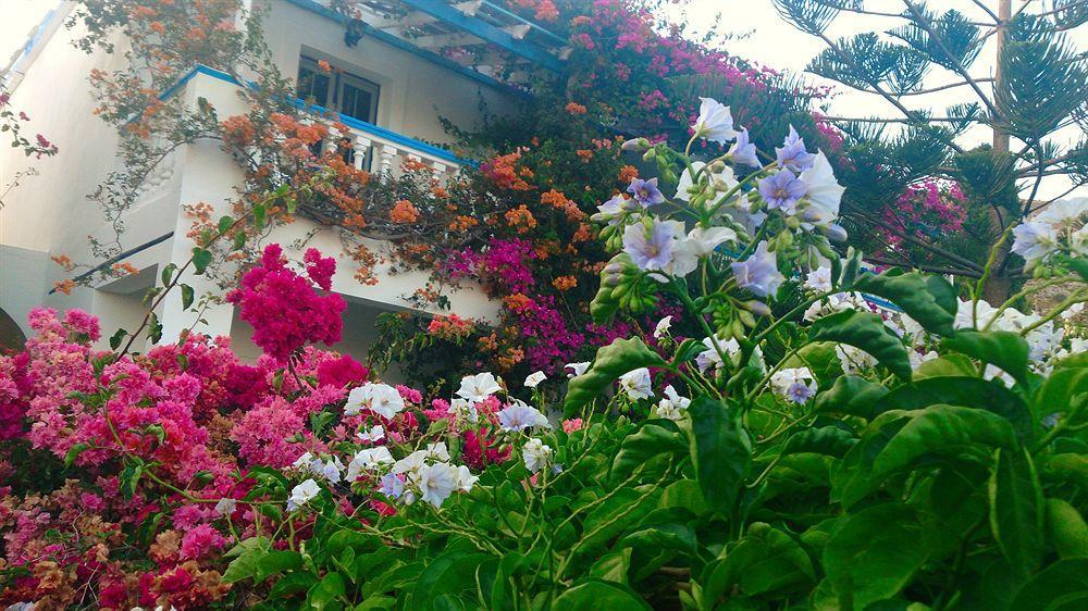 Angelika Alinda (Leros) Exterior foto